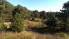 landschaft 1